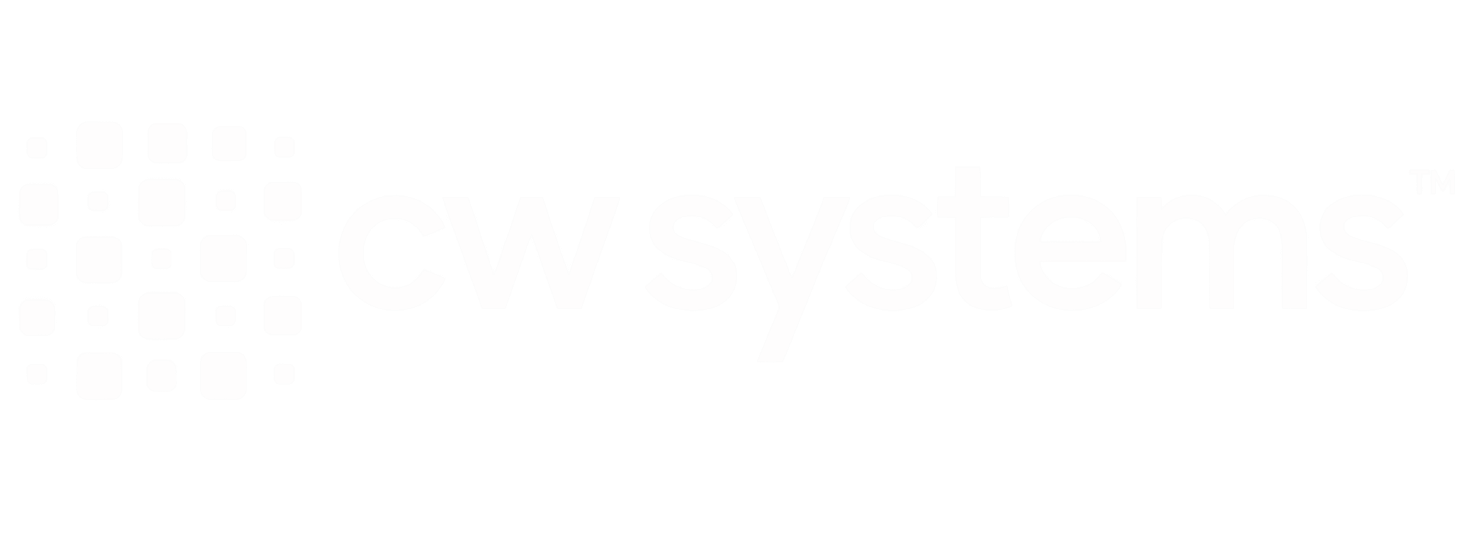 CW Systems logo